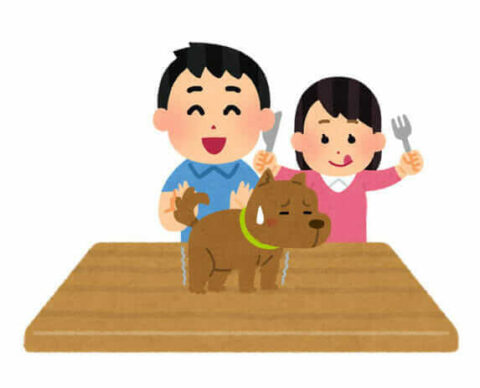 【冠詞で激変？】犬で学ぶ名詞の変化