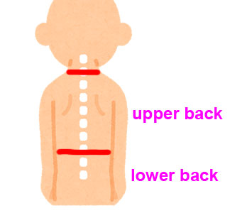 【身体の英語】背中にまつわる表現